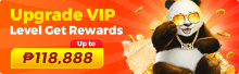 UPGRADE VIP